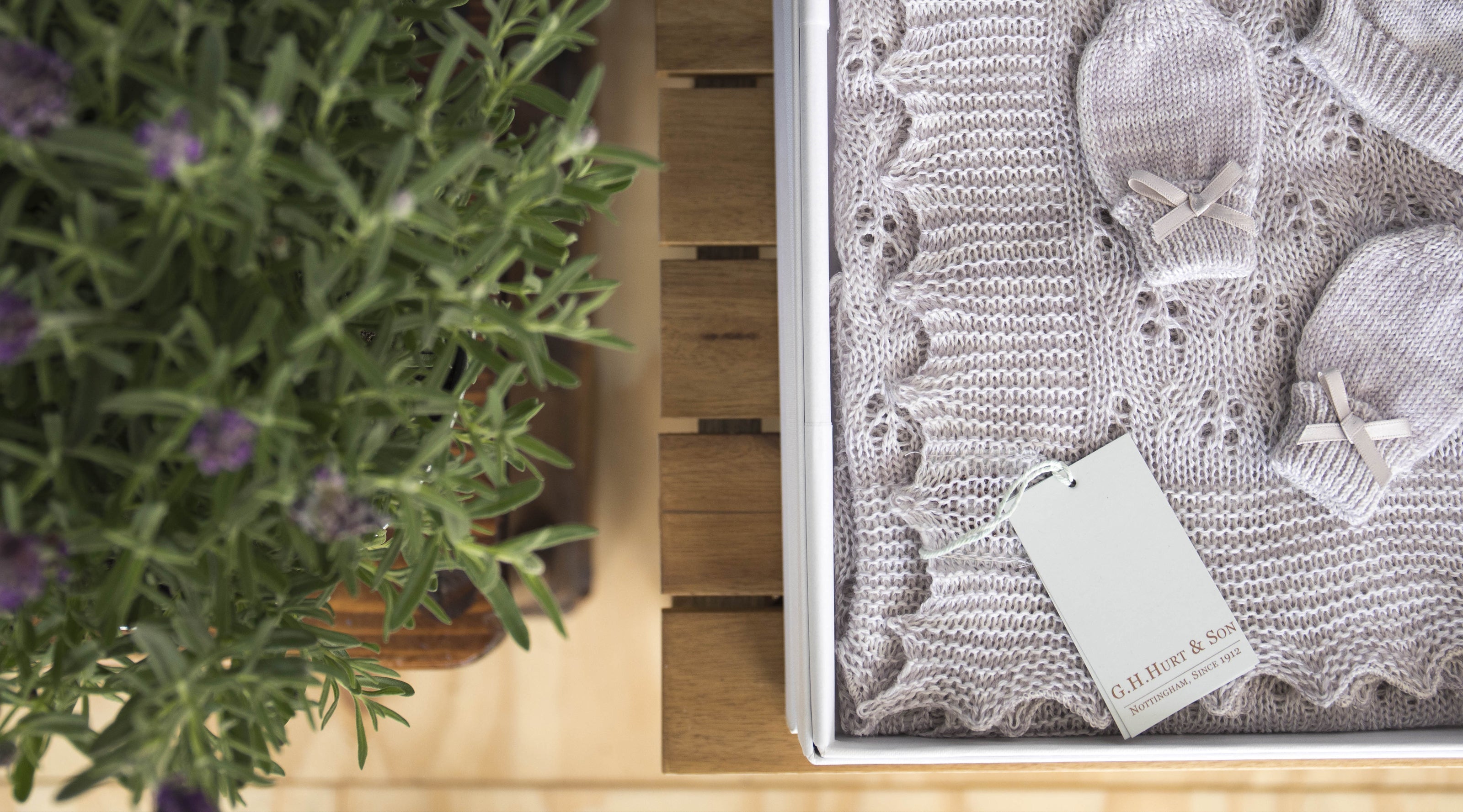 Kitten Paw Baby Gift Set