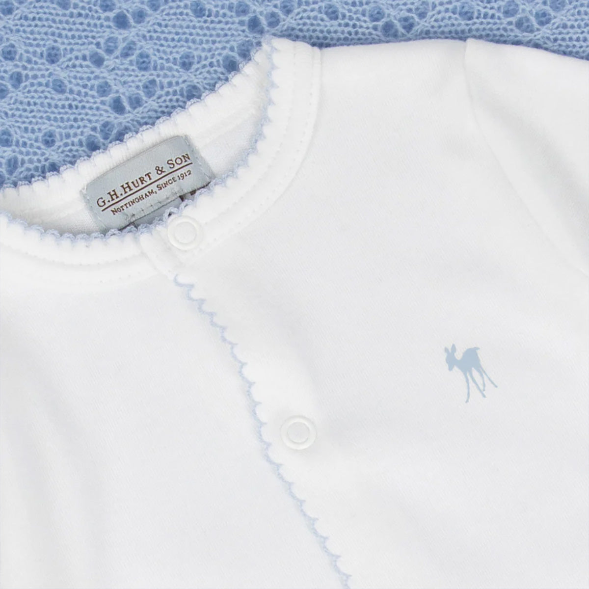 Baby Fawn Babygrow Blue Detail