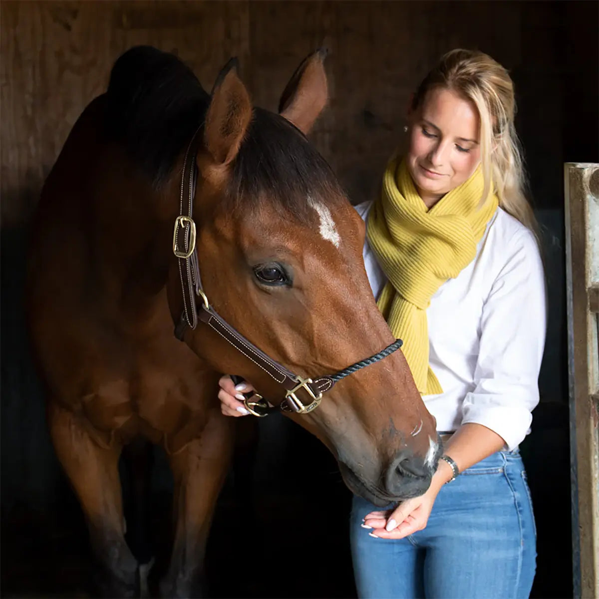Lambswool Ribbed Scarf in Brass